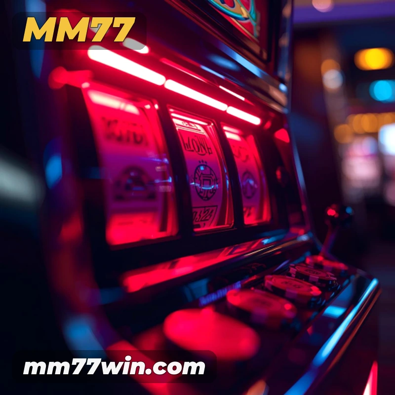 mm77 Salvador - Studio Tour